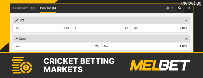 Cricket betting markets on Melbet site