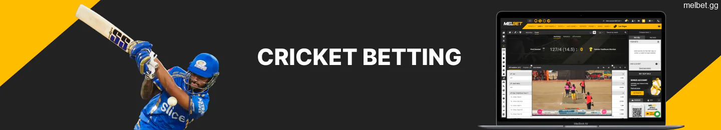 Cricket betting at the Melbet bookmaker site