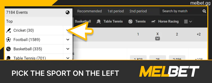 Select the sport on the left side of the Melbet website